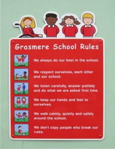 Character Wall Mounted ACM Play Area Rules